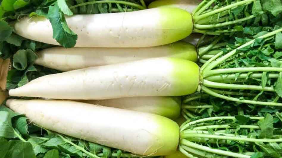 MOOLI